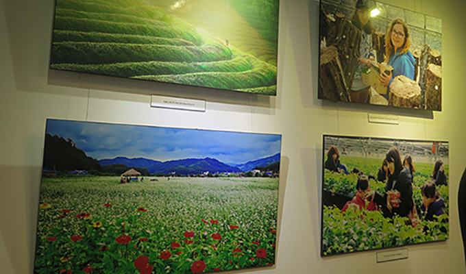 Giới thiệu sản phẩm du lịch nông thôn Hàn Quốc tại Hà Nội