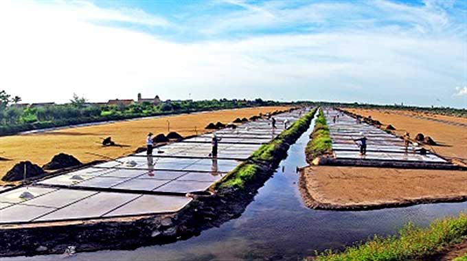 Viet Nam - Endless charm: Glistening salt fields