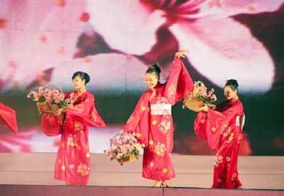 Cherry blossom festival to be held in Ha Long city in April 