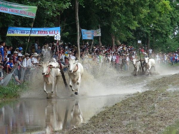 Khmer celebrate Sene Dolta Festival
