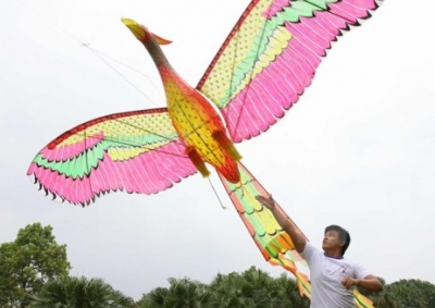 Viet Nam art kite festival held with flying colours
