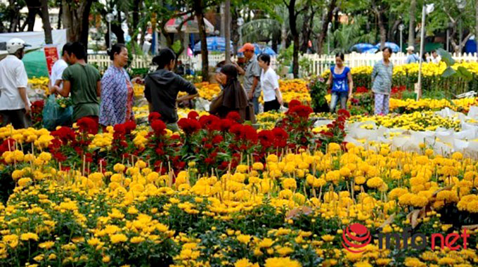 TP. HCM tổ chức 131 chợ hoa xuân, nhiều nơi có wifi miễn phí