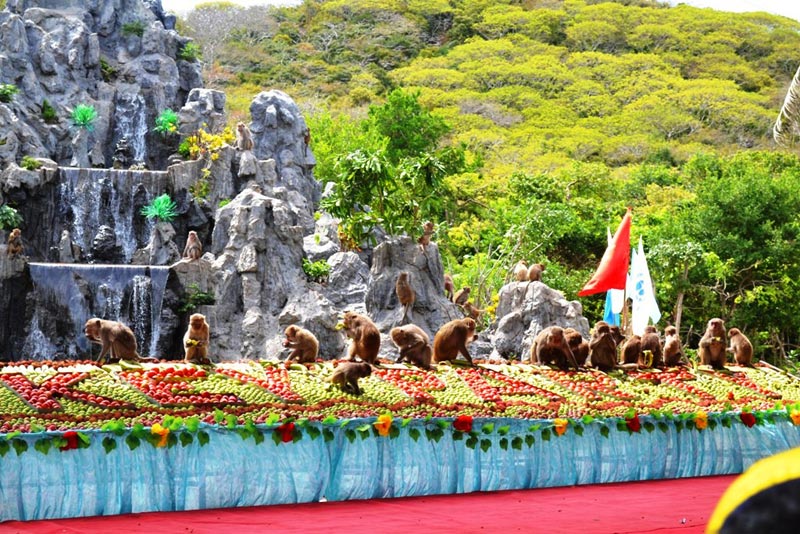 Du khách đổ xô đến xem đảo khỉ ở Nha Trang