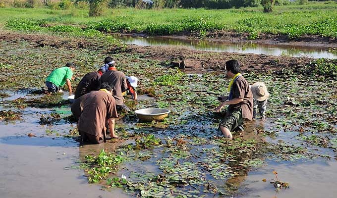An Giang promotes sustainable tourism