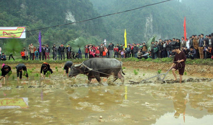 Tuyen Quang ethnic groups observe Long Tong festival