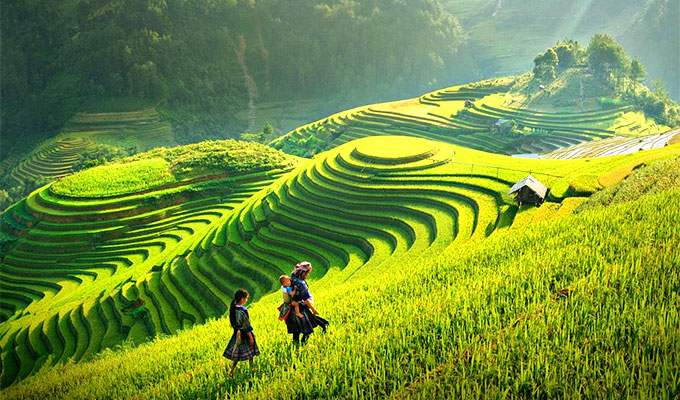 Viet Nam offers great value for solo travelers: blogger