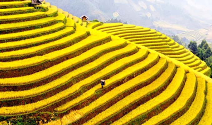 Hoang Su Phi terraced fields, masterpieces of minority groups