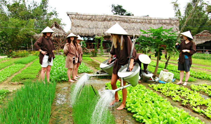 Viet Nam’s agritourism aims to tap massive potential