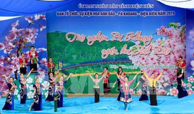 Dien Bien: Pa Khoang hosts second cherry blossom festival