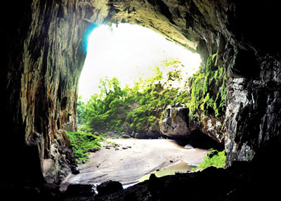 Discover Swallow Cave