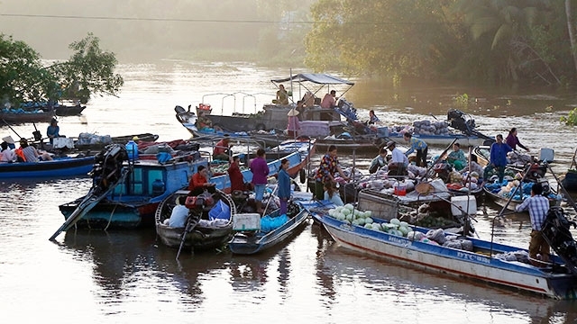 Phong Dien floating market: An interesting stop for visitors to Mekong delta region