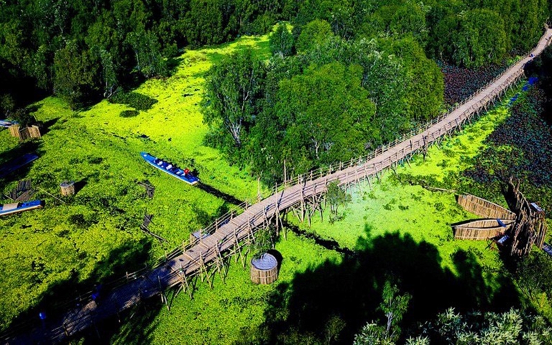 A spring tour to Tra Su melaleuca forest, “checking-in” at Vietnam's longest bamboo bridge