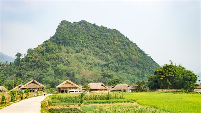 Discovering peaceful Tha Village in Hà Giang