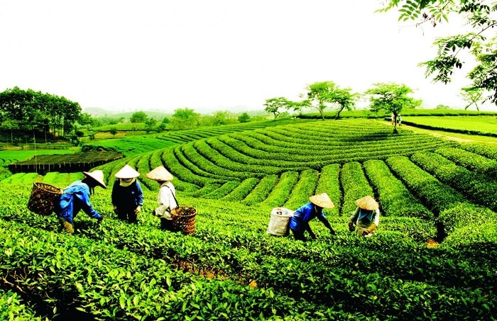 Attracting community-based tourism in Tea Land of Thai Nguyen
