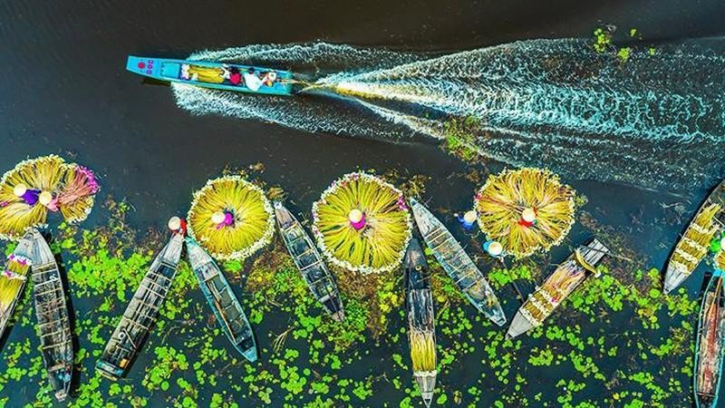 An Giang’s beauty during the floating season