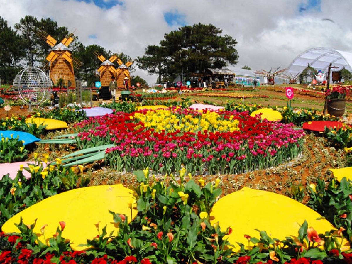 Da Lat Flower Festival 2022 set to take place in November