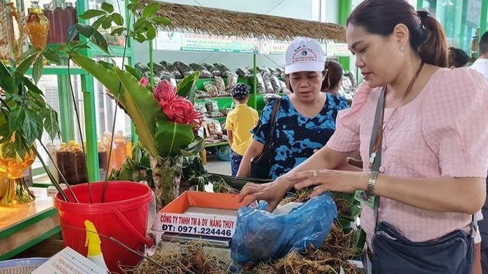 Festival promotes values of Ngoc Linh ginseng