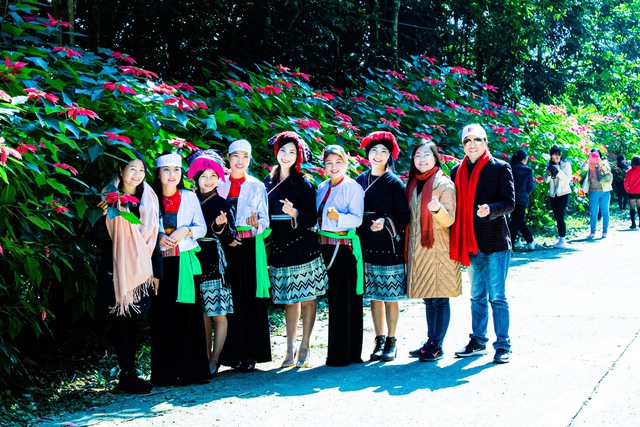 Hoa Trạng Nguyên nở rộ thu hút khách du lịch ở Xuân Sơn (Phú Thọ)