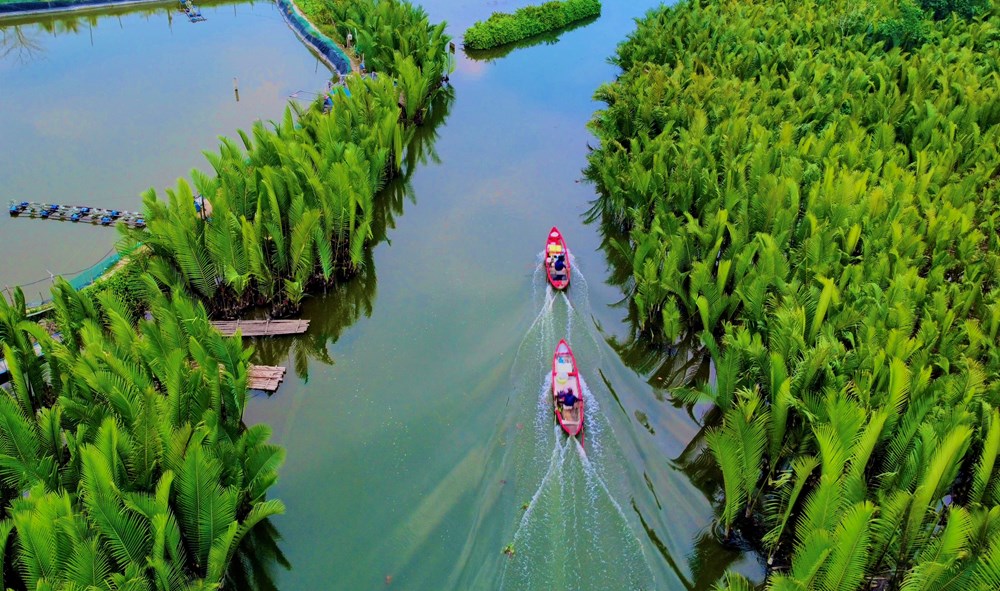 Quảng Ngãi: Công nhận điểm du lịch “Rừng dừa nước Tịnh Khê”