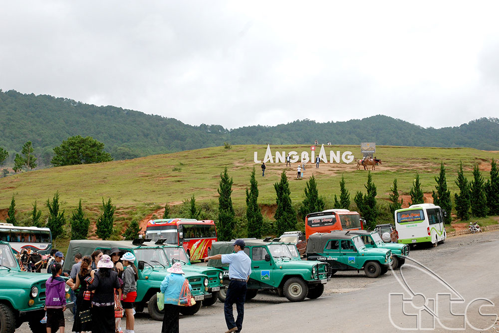 Number of tourists to Lam Dong province soars