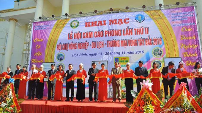 越南和平省第二次高峰橙子节正式开幕