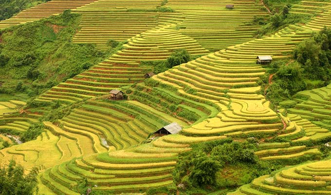 越南安沛省姆庚寨梯田跻身全球五十大最美的旅游景点