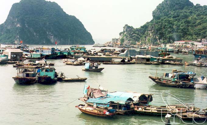 越南下龙湾万门渔村成最值得一去的村庄
