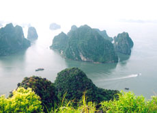 Ha Long Bay welcomes 5,000 tourists on New Yearâ€™s Day
