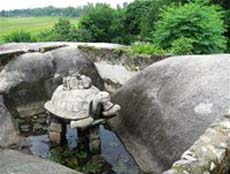 Stone Turtle on Water Mountain