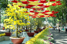 Tet Flower Festival to return at Tao Dan Park