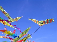 Vietnamese attends 15th International Kite Festival 