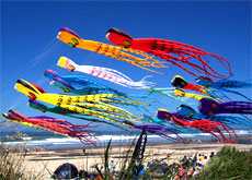 Second International Kite Festival to kick off