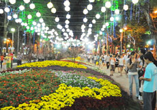 Spring Flower Fair opens in HCMC 
