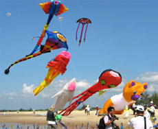 Kite-flying festival raises spirits