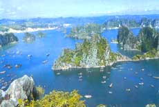 Vote for Halong bay by telephone