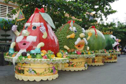 Ho Chi Minh City to host Southern Fruit Festival 