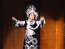 Cai Luong performances celebrate Vietnam-Japan ties 