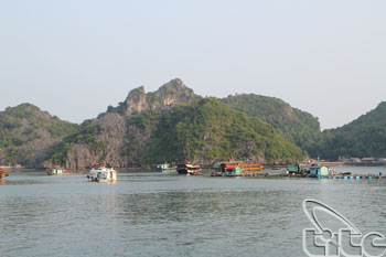 Hai Phong strives for Cat Ba's World Heritage recognition