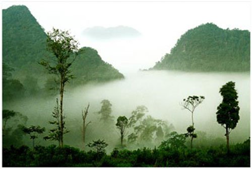 Xuan Son National Park - attractive site in Phu Tho