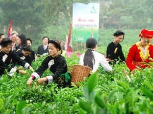 Second Int'l Tea Festival planned for November