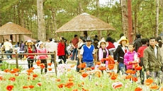 Tourism sector earns VND105 trillion in first half of 2013 