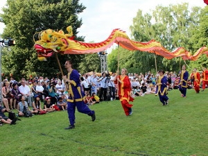 Festival brings Vietnamese culture to international friends