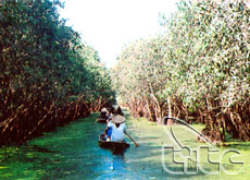 Đẩy mạnh “Du lịch bốn mùa” ở Đồng bằng sông Cửu Long