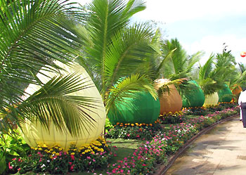 “Con đường dừa” tại Festival Dừa năm 2012
