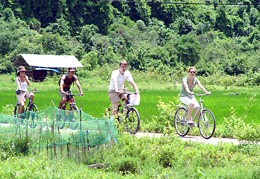 Hà Giang phát triển nông nghiệp gắn với du lịch