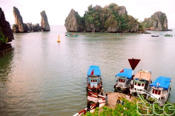 Saigontourist ra mắt chùm tour với giá tiết kiệm
