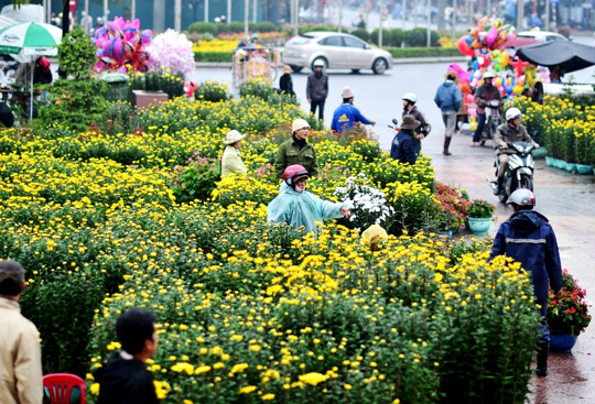 Hà Nội tổ chức 65 chợ hoa Xuân đón Tết Quý Tỵ 