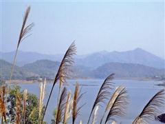 Quảng Nam có thêm một làng du lịch sinh thái ven sông