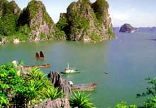 Hàng nghìn du khách quốc tế đến Việt Nam trong ngày đầu năm mới 2008