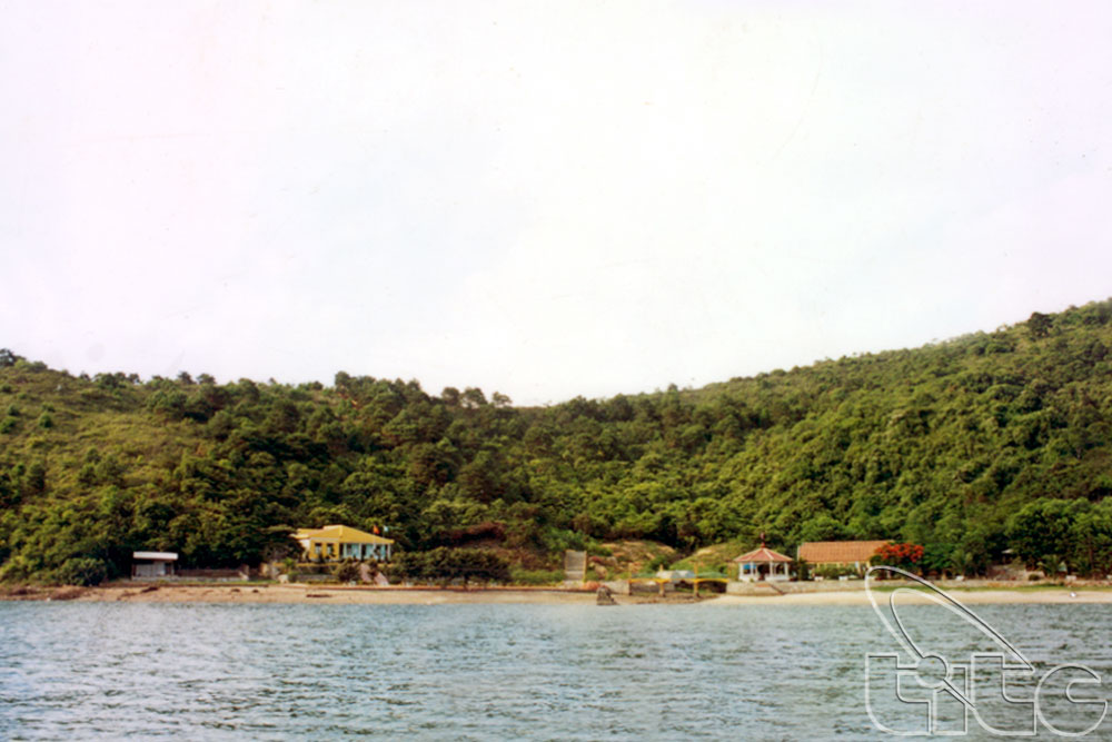 Đảo Thẻ Vàng 